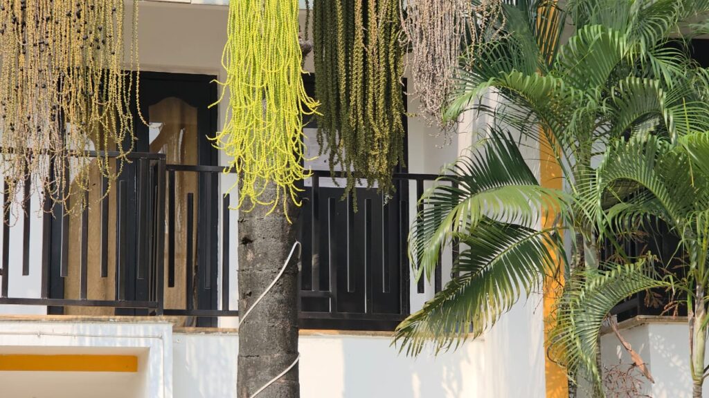 WhatsApp Image 2026-01-03 at 14.33.32