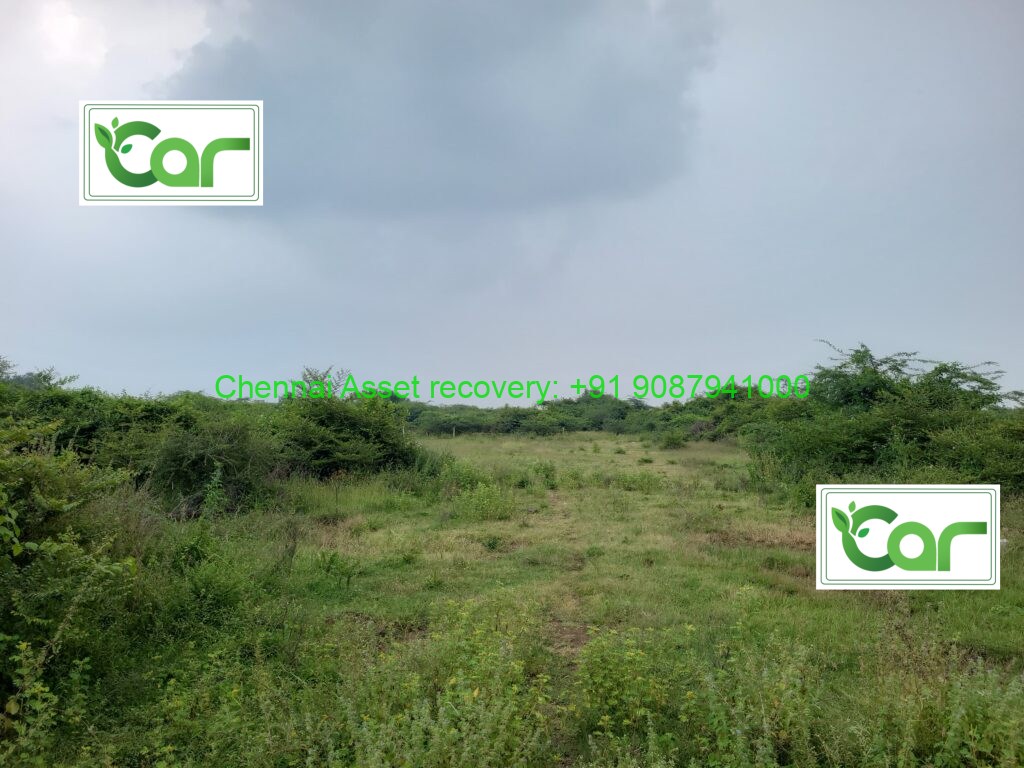 WhatsApp Image 2026-01-30 at 12.54.18 (2)