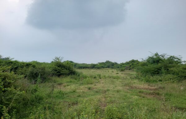 WhatsApp Image 2026-01-30 at 12.54.18 (2)