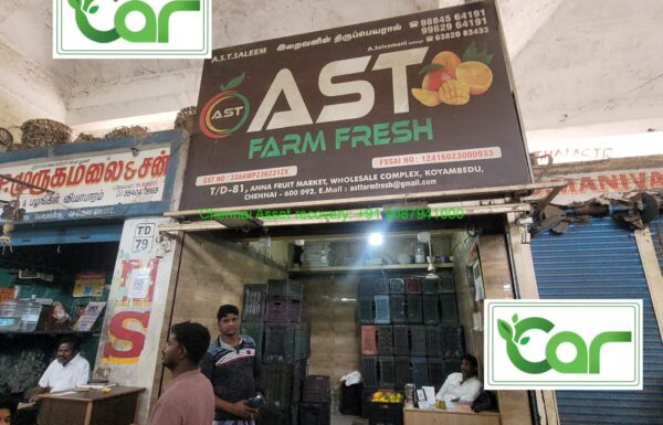 WhatsApp Image 2026-02-01 at 16.43.58