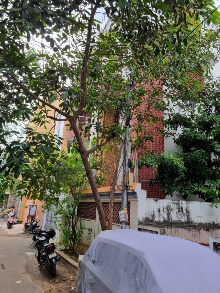 WhatsApp Image 2026-02-28 at 12.48.25 (1)