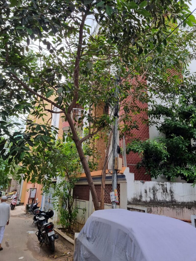 WhatsApp Image 2026-02-28 at 12.48.26 (1)