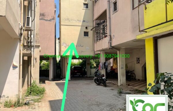 WhatsApp Image 2026-03-28 at 08.19.54